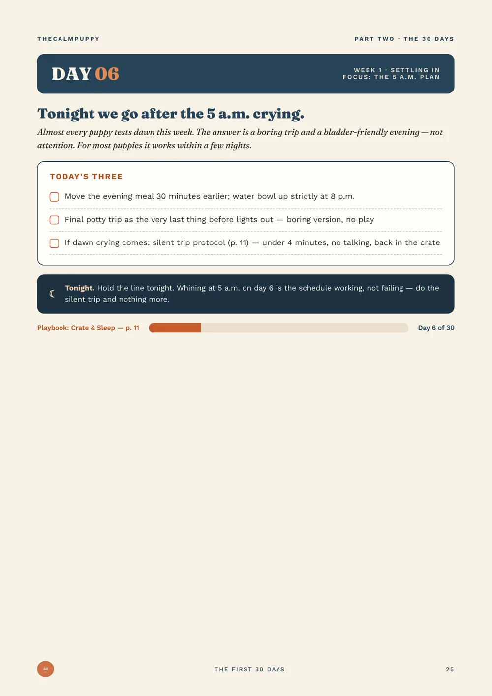 Day 6 page: the 5 a.m. crying plan