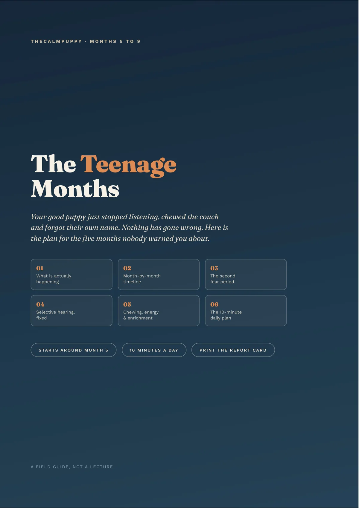 The Teenage Months — the 5-to-9-month adolescence plan