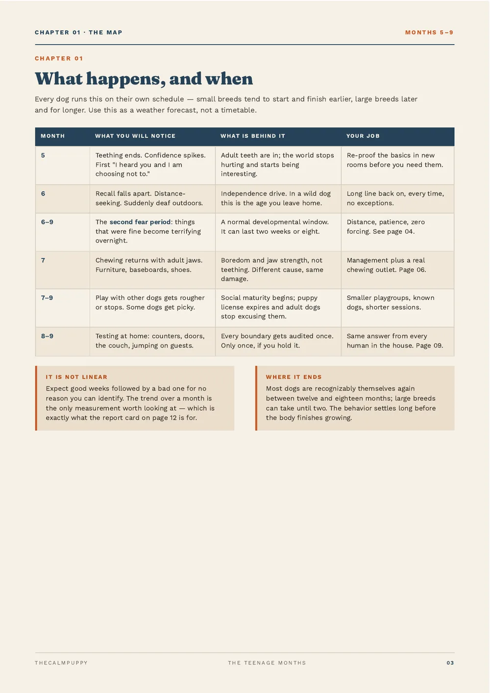 What happens, and when — months 5 to 9