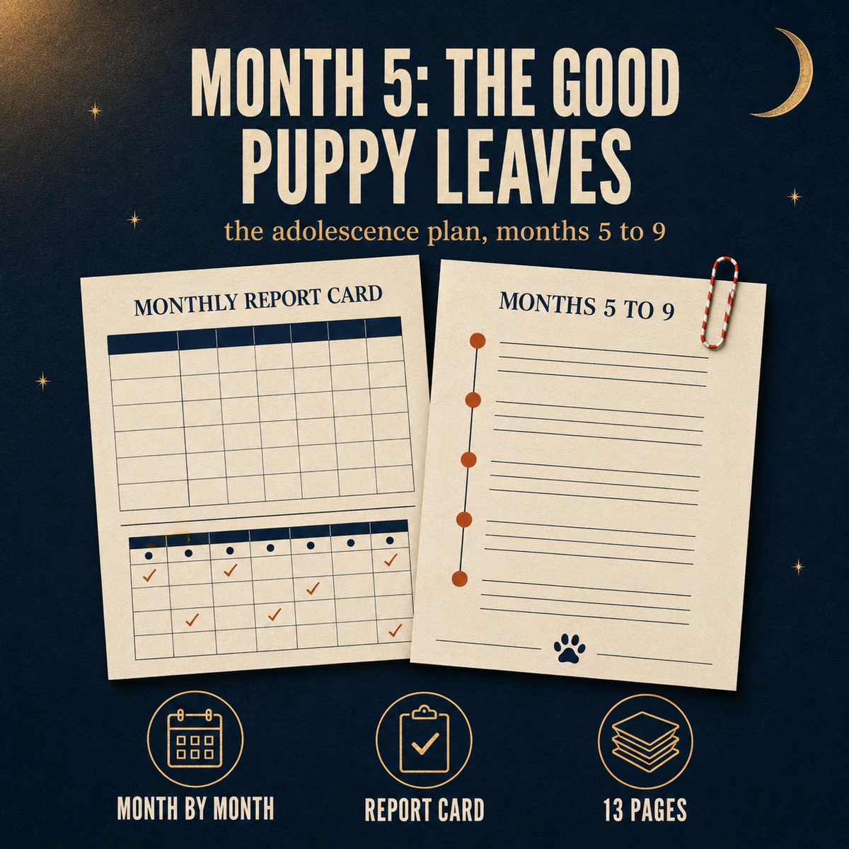 The Teenage Months – The 5-to-9-Month Adolescence Plan (Instant PDF)