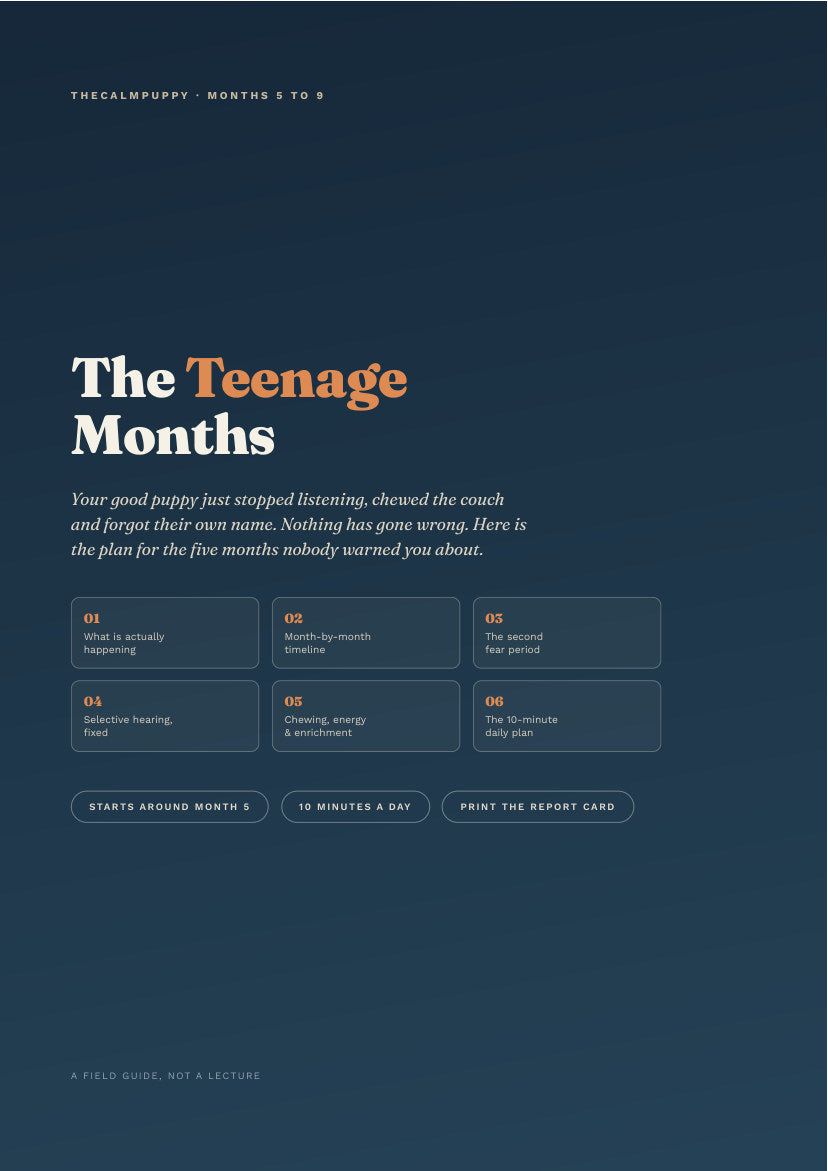 Add The Teenage Months — months 5 to 9